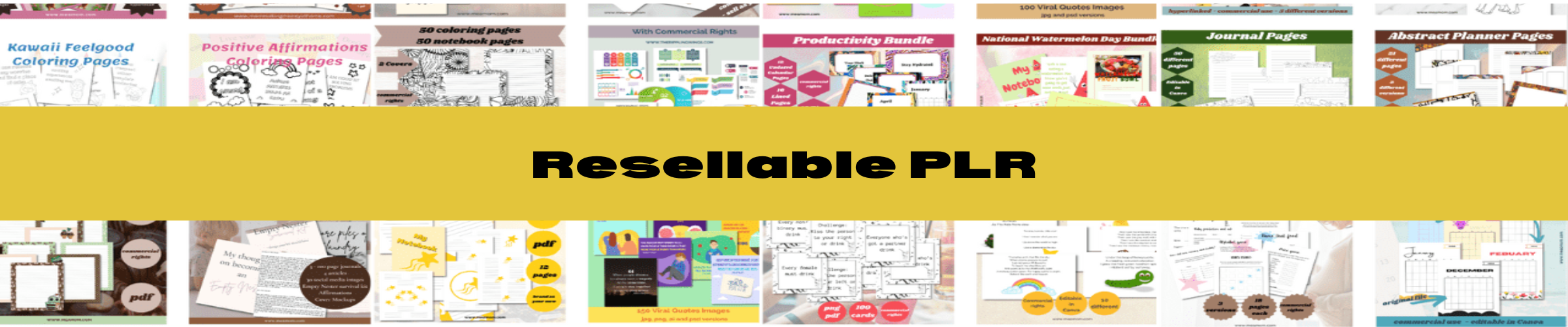 resellable plr